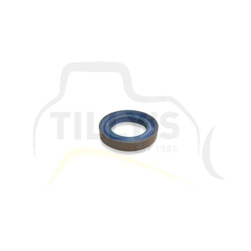 SEAL - LIP TYPE