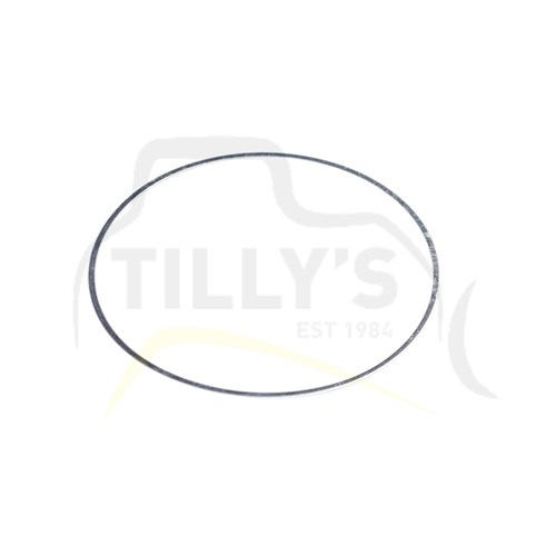 SEAL - RING TRANS