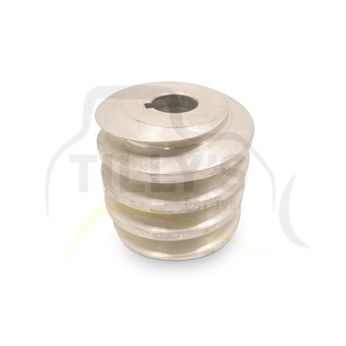 WORM - CIRCLE BOX 12 38E
