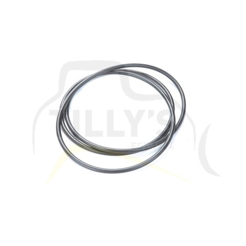 SEAL - O RING