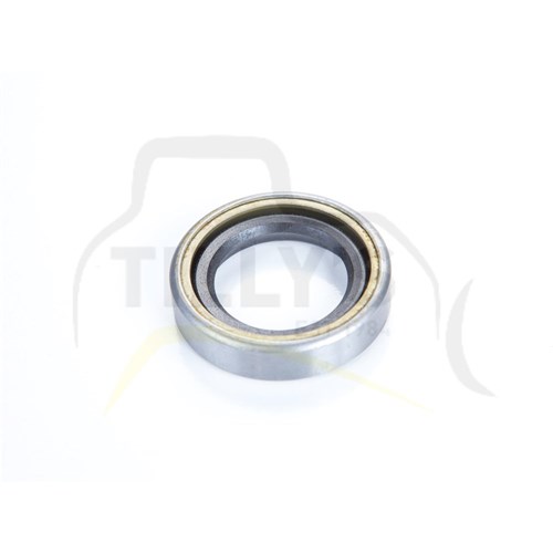 SEAL - LIP TYPE