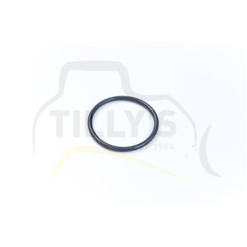 SEAL - O RING