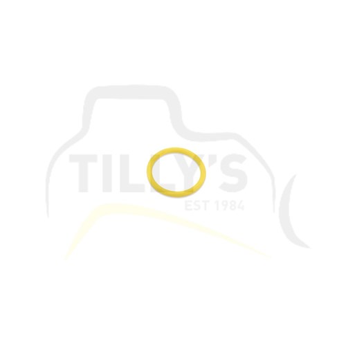 SEAL - O RING