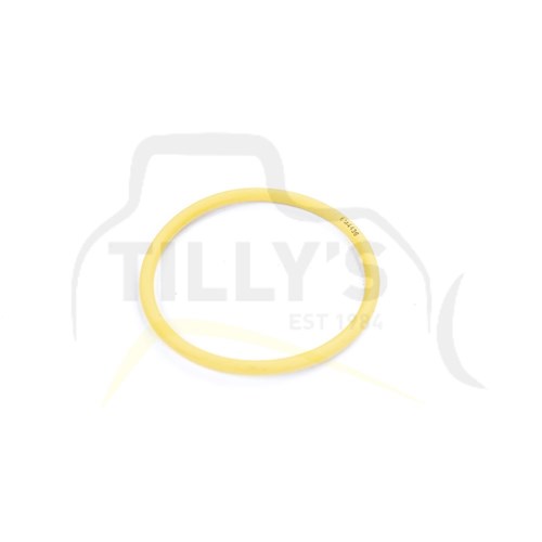 SEAL - O RING