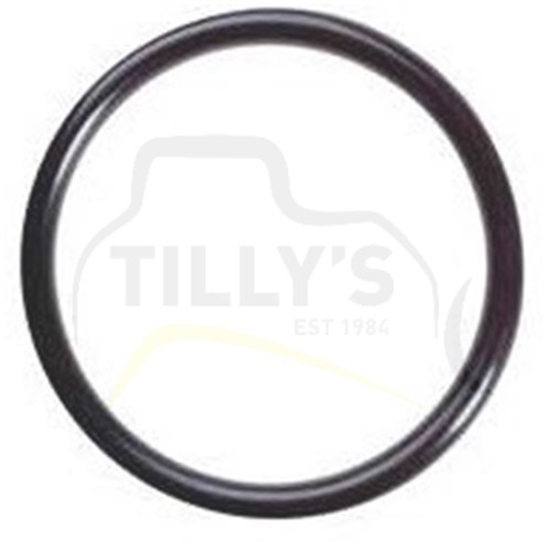 SEAL - O RING