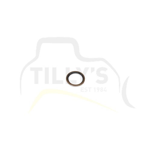 SEAL - LIP TYPE