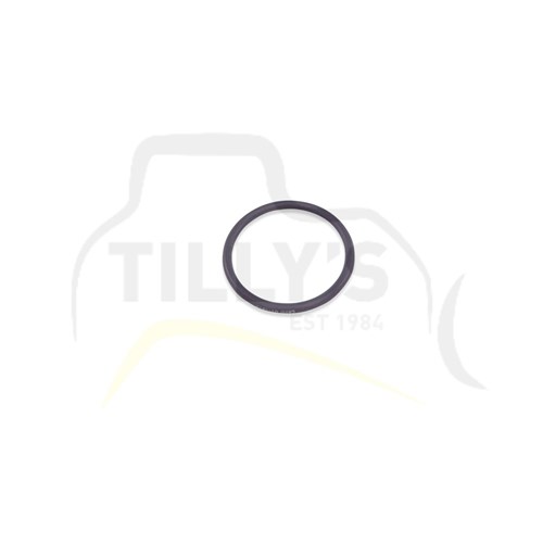 SEAL - O RING