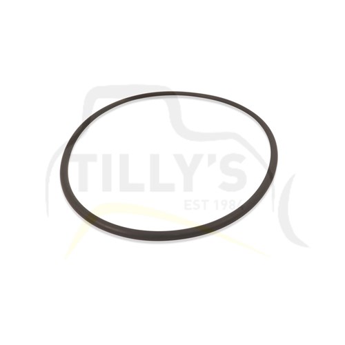 SEAL - O RING