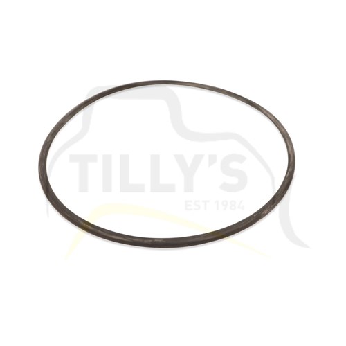 SEAL - O RING