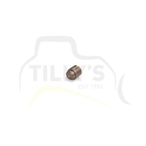 PIN - IDLER D4