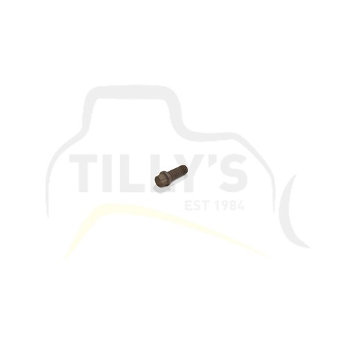BOLT - 12 PT HEAD UNC 1/4 X