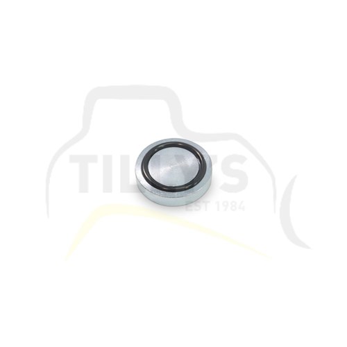 COVER - HYD FLANGE PLUG