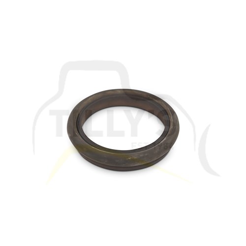 BUSH - TRACK D6R SALT  BERCO