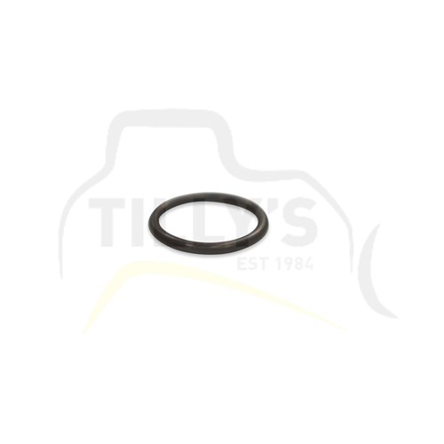 R47151  O-RING