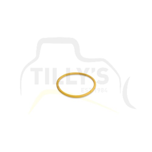 SEAL - O RING - TRACK ADJ